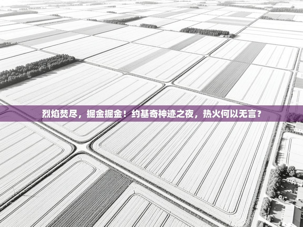 烈焰焚尽，掘金掘金！约基奇神迹之夜，热火何以无言？  第1张