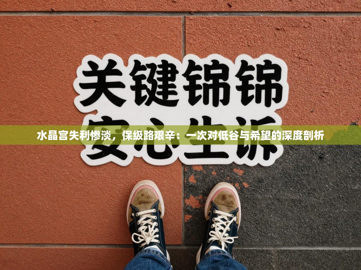 水晶宫失利惨淡，保级路艰辛：一次对低谷与希望的深度剖析  第1张