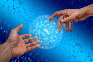 爱游戏体育娱乐-德国仰泳项目技术稳定提升，德国仰泳项目技术稳定提升方案